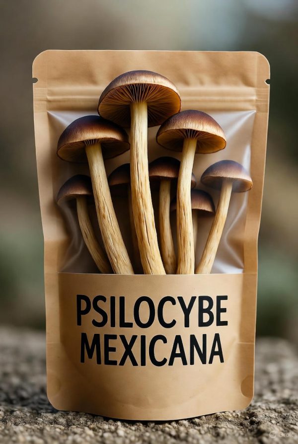 Dried Psilocybe Mexicana Mushroom in discretely Packaging A white Discretely bag showcasing dried Psilocybe Mexicana Mushroom with the name printed in black on the label.