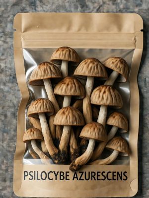 A transparent bag containing dried Psilocybe Azurescens mushrooms with labeled black text on the packaging.