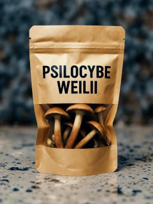 A white transparent bag containing dried Psilocybe Weilii mushrooms, featuring black text and a detailed mushroom illustration on the professional packaging.
