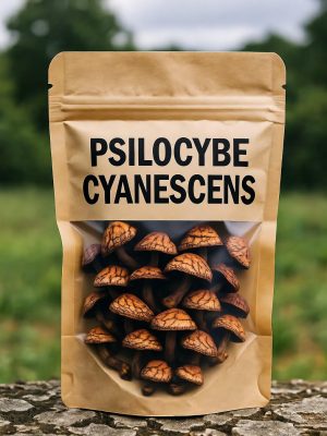A transparent white bag containing dried Psilocybe Cyanescens mushrooms, featuring bold black text and a detailed mushroom illustration on the packaging.