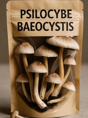 Psilocybe Baeocystis dried mushrooms in a transparent white bag with label and visible mushroom sample inside
