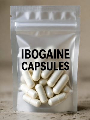 Transparent sealed plastic bag labeled ibogaine capsules containing ibogaine capsules inside